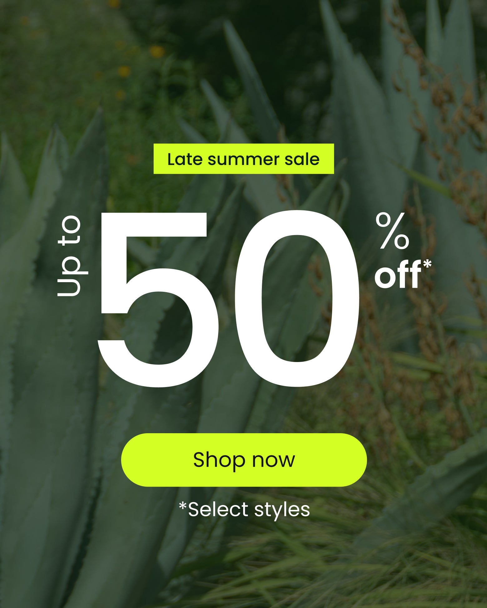 Earth Shoes - Late Summer Sale - Up to 50% Off Select Styles - Shop Now